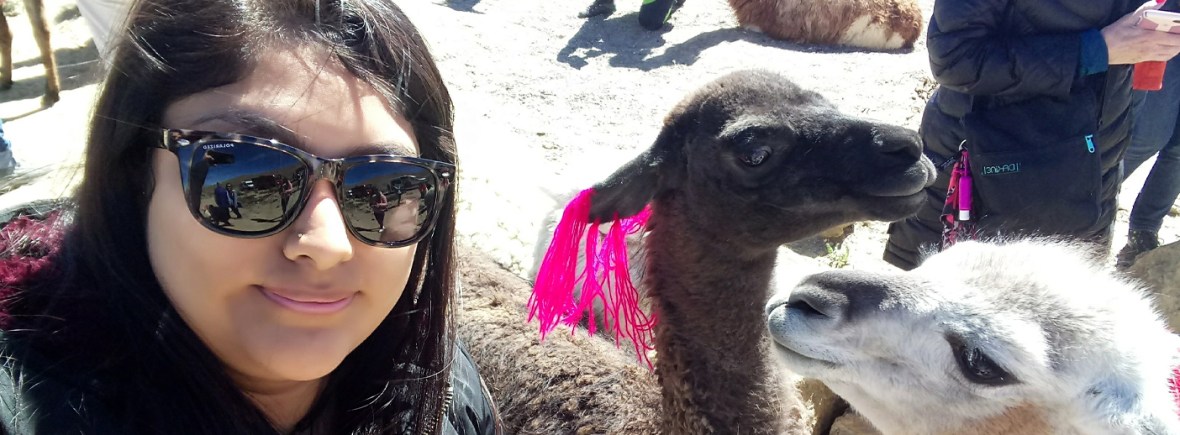 Motivos para viajar solo