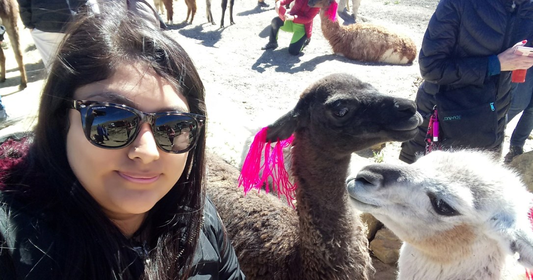 Motivos para viajar solo